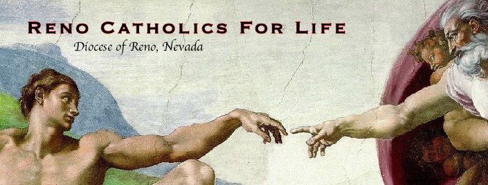 Reno Catholics for life