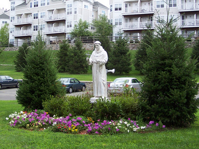 The Franciscan Missionary Sisters of the Sacred Heart